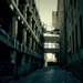 Alley 1 - 2012