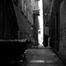 Alley 3 - 2012